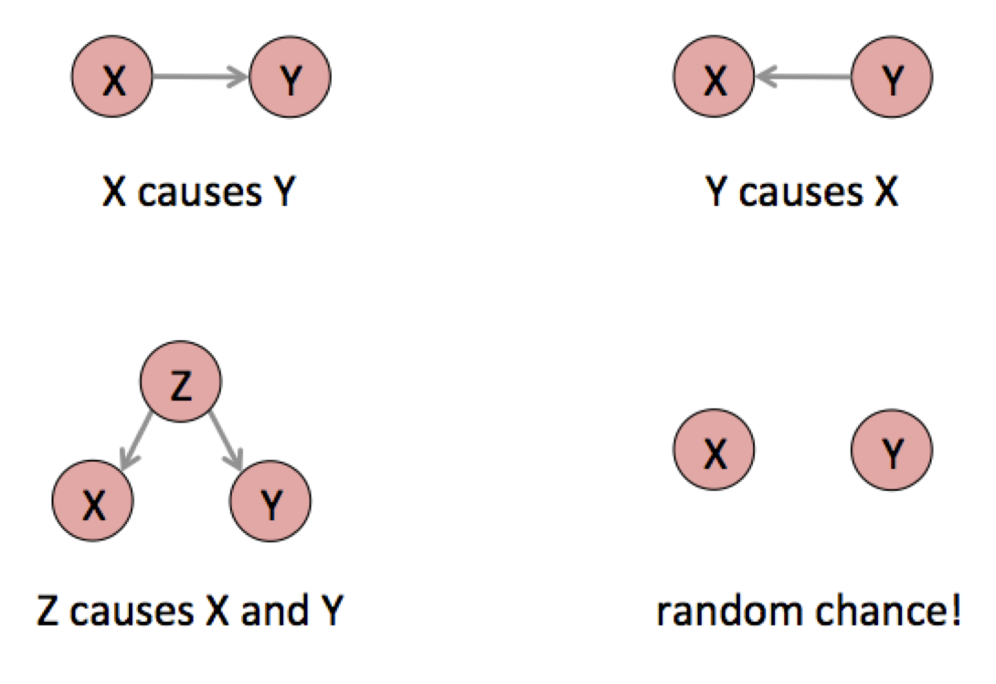 what is implied by the web of causation model