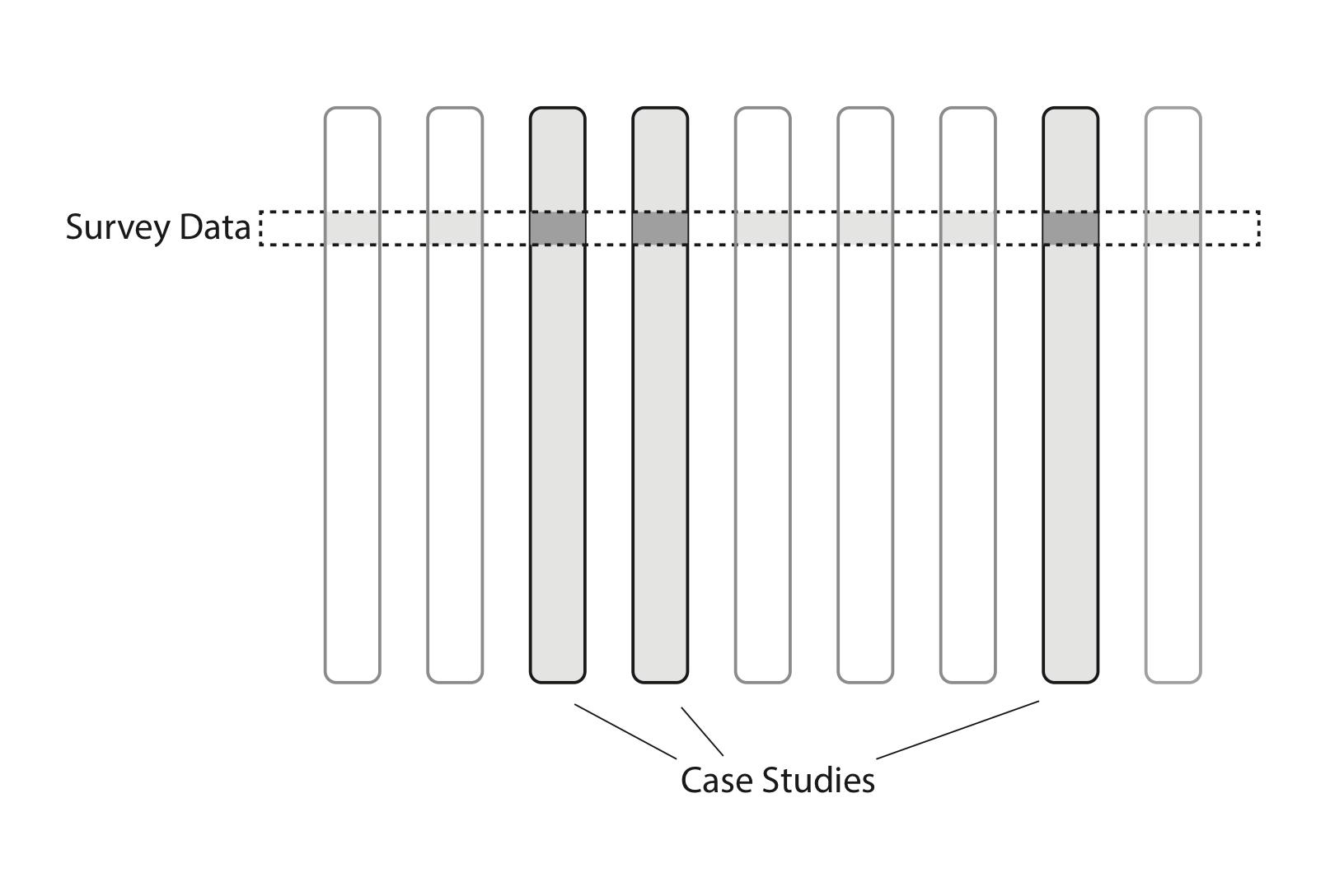 Survey breadth versus case study depth graphic.